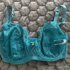 DITA VON TEESE Elegant Blue Lace Bra - 32DDD